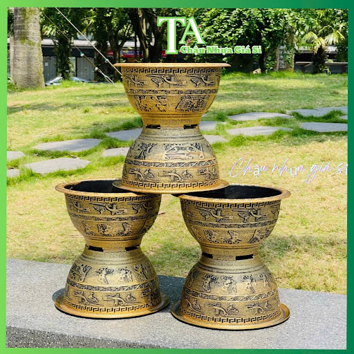 Chậu trồng gốc bonsai mai vàng tạo thế