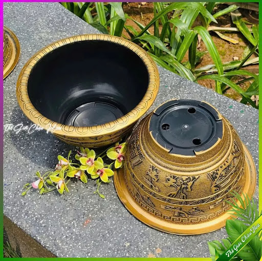 Đáy chậu & lỗ thoát nước thực tế